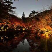 ヒメ日記 2025/11/26 23:46 投稿 みお 新潟デリヘル倶楽部