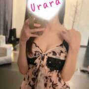 ヒメ日記 2025/12/14 20:56 投稿 うらら Sweet～スウィート～