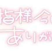 ヒメ日記 2024/11/27 22:25 投稿 ひろ 宮崎ちゃんこ都城店