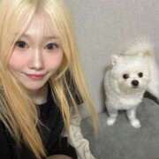 ヒメ日記 2025/07/16 00:35 投稿 一葉さつき ウルトラプラチナム