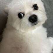 ヒメ日記 2025/07/18 17:33 投稿 一葉さつき ウルトラプラチナム