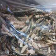 ヒメ日記 2024/12/22 17:13 投稿 八尋	あき ハプニング痴漢電車or全裸入室