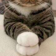 ヒメ日記 2025/01/06 10:07 投稿 八尋	あき ハプニング痴漢電車or全裸入室