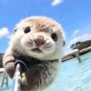 ヒメ日記 2025/01/06 10:24 投稿 八尋	あき ハプニング痴漢電車or全裸入室