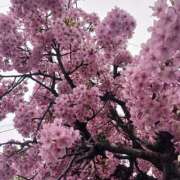 ヒメ日記 2025/03/16 14:29 投稿 八尋	あき ハプニング痴漢電車or全裸入室