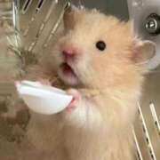 ヒメ日記 2025/04/12 09:57 投稿 八尋	あき ハプニング痴漢電車or全裸入室