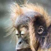 ヒメ日記 2025/04/14 09:57 投稿 八尋	あき ハプニング痴漢電車or全裸入室