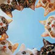 ヒメ日記 2025/04/28 11:37 投稿 八尋	あき ハプニング痴漢電車or全裸入室