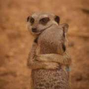 ヒメ日記 2025/05/02 10:02 投稿 八尋	あき ハプニング痴漢電車or全裸入室