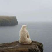 ヒメ日記 2025/05/02 10:47 投稿 八尋	あき ハプニング痴漢電車or全裸入室