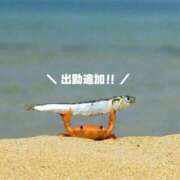 ヒメ日記 2025/05/20 22:07 投稿 八尋	あき ハプニング痴漢電車or全裸入室