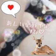 ヒメ日記 2025/09/08 18:07 投稿 八尋	あき ハプニング痴漢電車or全裸入室