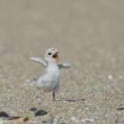ヒメ日記 2025/10/06 13:17 投稿 八尋	あき ハプニング痴漢電車or全裸入室
