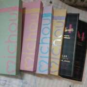 ヒメ日記 2025/12/26 18:50 投稿 八尋	あき ハプニング痴漢電車or全裸入室