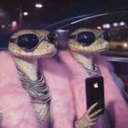 ヒメ日記 2025/12/29 00:07 投稿 八尋	あき ハプニング痴漢電車or全裸入室