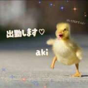 ヒメ日記 2026/02/11 11:07 投稿 八尋	あき ハプニング痴漢電車or全裸入室