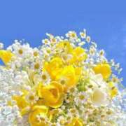 ヒメ日記 2026/04/15 14:27 投稿 八尋	あき ハプニング痴漢電車or全裸入室