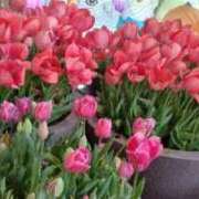 ヒメ日記 2026/04/26 16:17 投稿 八尋	あき ハプニング痴漢電車or全裸入室