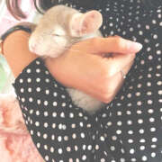 ヒメ日記 2025/03/09 10:26 投稿 あやせ SKY(スカイ)