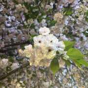 ヒメ日記 2025/04/13 21:00 投稿 あやせ SKY(スカイ)