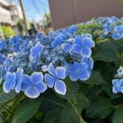 ヒメ日記 2025/06/01 07:30 投稿 あやせ SKY(スカイ)