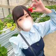 ヒメ日記 2026/04/24 07:30 投稿 あやせ SKY(スカイ)