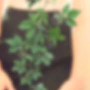 ヒメ日記 2025/11/28 16:50 投稿 たま 熟女の風俗最終章 立川店