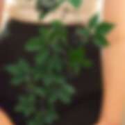 ヒメ日記 2026/02/05 19:36 投稿 たま 熟女の風俗最終章 立川店