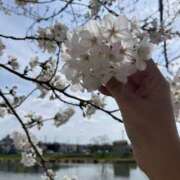 ヒメ日記 2025/03/01 13:54 投稿 りさ 美熟女倶楽部Hip's 春日部店