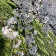 ヒメ日記 2025/04/04 22:54 投稿 りさ 美熟女倶楽部Hip's 春日部店