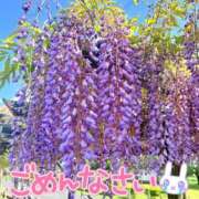 ヒメ日記 2025/05/02 08:05 投稿 りさ 美熟女倶楽部Hip's 春日部店