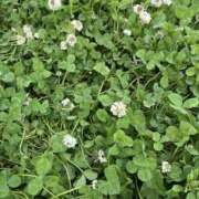 ヒメ日記 2025/05/19 15:54 投稿 りさ 美熟女倶楽部Hip's 春日部店