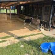 ヒメ日記 2025/08/23 14:24 投稿 りさ 美熟女倶楽部Hip's 春日部店