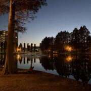 ヒメ日記 2025/12/14 00:52 投稿 りさ 美熟女倶楽部Hip's 春日部店