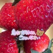 ヒメ日記 2026/03/12 08:12 投稿 りさ 美熟女倶楽部Hip's 春日部店