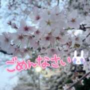 ヒメ日記 2026/04/06 11:52 投稿 りさ 美熟女倶楽部Hip's 春日部店