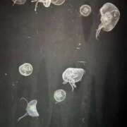 ヒメ日記 2025/11/28 17:22 投稿 えり 神戸回春性感マッサージ倶楽部