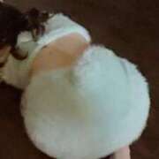 ヒメ日記 2025/04/29 03:06 投稿 しおり 紳士の嗜み 大宮