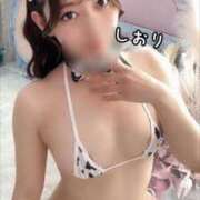 ヒメ日記 2025/09/20 00:47 投稿 しおり 紳士の嗜み 大宮