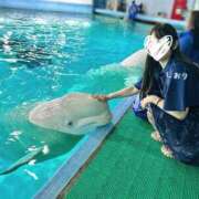 ヒメ日記 2025/10/14 00:30 投稿 しおり 紳士の嗜み 大宮