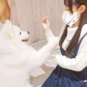 ヒメ日記 2026/03/11 04:17 投稿 しおり 紳士の嗜み 大宮