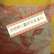 ヒメ日記 2025/01/21 00:02 投稿 さとみ 奥様の実話 谷九店