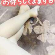 ヒメ日記 2025/02/16 06:00 投稿 笹森くみ プルデリR40