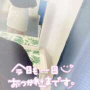 ヒメ日記 2025/09/01 18:00 投稿 笹森くみ プルデリR40