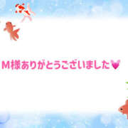 ヒメ日記 2025/01/06 00:36 投稿 なぎさ ぼくらのデリヘルランドin久喜店