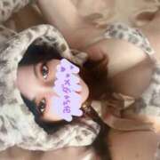 ヒメ日記 2025/04/17 15:19 投稿 ゆうか 新宿本店 ぽちゃカワ女子専門店