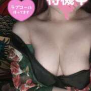 ヒメ日記 2025/06/03 12:31 投稿 ゆうか 新宿本店 ぽちゃカワ女子専門店