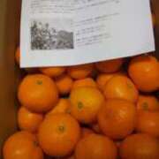 ヒメ日記 2024/12/22 09:46 投稿 キラリ オトナのマル秘最前線!!