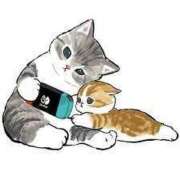 ヒメ日記 2025/03/20 08:20 投稿 すみれ Aroma Olive ～アロマオリーブ～