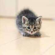 ヒメ日記 2025/03/28 07:50 投稿 すみれ Aroma Olive ～アロマオリーブ～